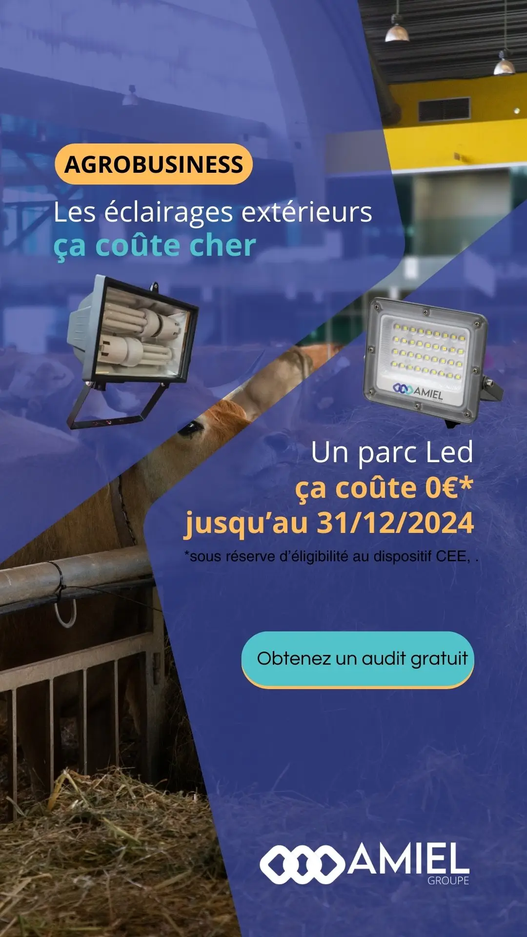 Publicité Meta Ads, projecteur LED avant/après, déclinaison agrobusiness, Amiel Groupe